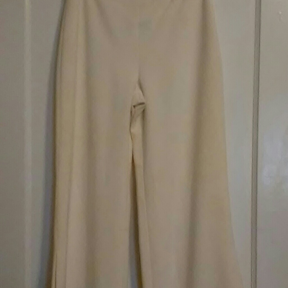 Female pants suit
